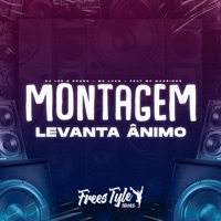 Montagem Levanta Ânimo (feat. MC MAGRINHO) - Single - DjLzr o Brabo, Mc Luan & FreesTyle Sounds
