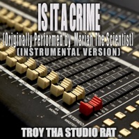 Album cover for Is It A Crime (Originally Performed by Mariah The Scientist) [Instrumental Version] - Single by Troy Tha Studio Rat