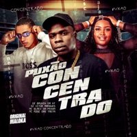 PUXÃO CONCENTRADO - Single - MC BLACK DA PENHA, DJ BRUNIN DA NT, DJ VITOR MARQUES & Mc Rose da Treta