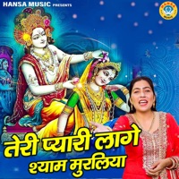 Teri Pyari lage Shyam Muraliya - Single - Preeti Choudhary