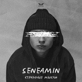 Странные мысли seneamin