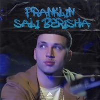Sali Berisha - Single - Franklin WWT