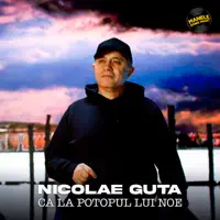 Ca la potopul lui Noe — Nicolae Guta