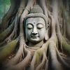 Bodhisattva's Quest: Walking the Compassionate Path, Bodhi Forest Bathing, Healing Relaxation Tunes