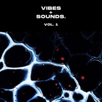 vibes + sounds, Vol. 1 (DJ Mix) - roqário.
