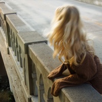 The Bridge - Single - liza