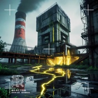 Reactor - Single - David Kawka
