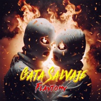 Gata Salvaje - Single - Flaytomy