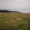Way Down