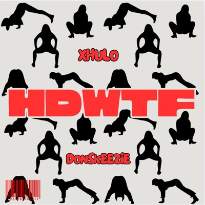 HDWTF (feat. DonSkeezie) - Single