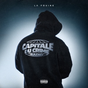 T'es bête ou quoi - Single