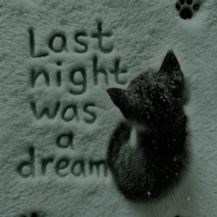 last night was a dream (feat. Øff-Licht) - Single - caz archive