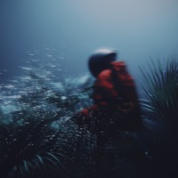 Papi - Single - MVRSXX, CUTEVISION & Moretti