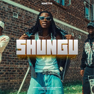 Shungu - Single