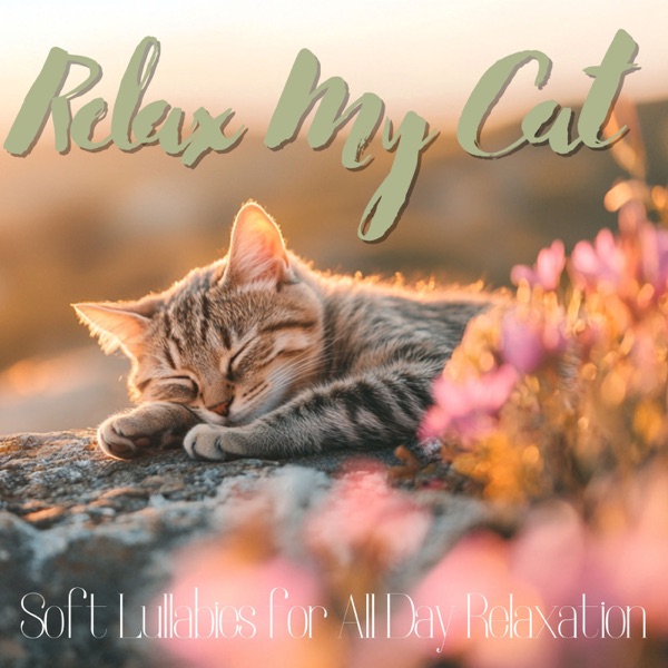 Relax My Cat - Soft Lullabies for All Day Relaxation