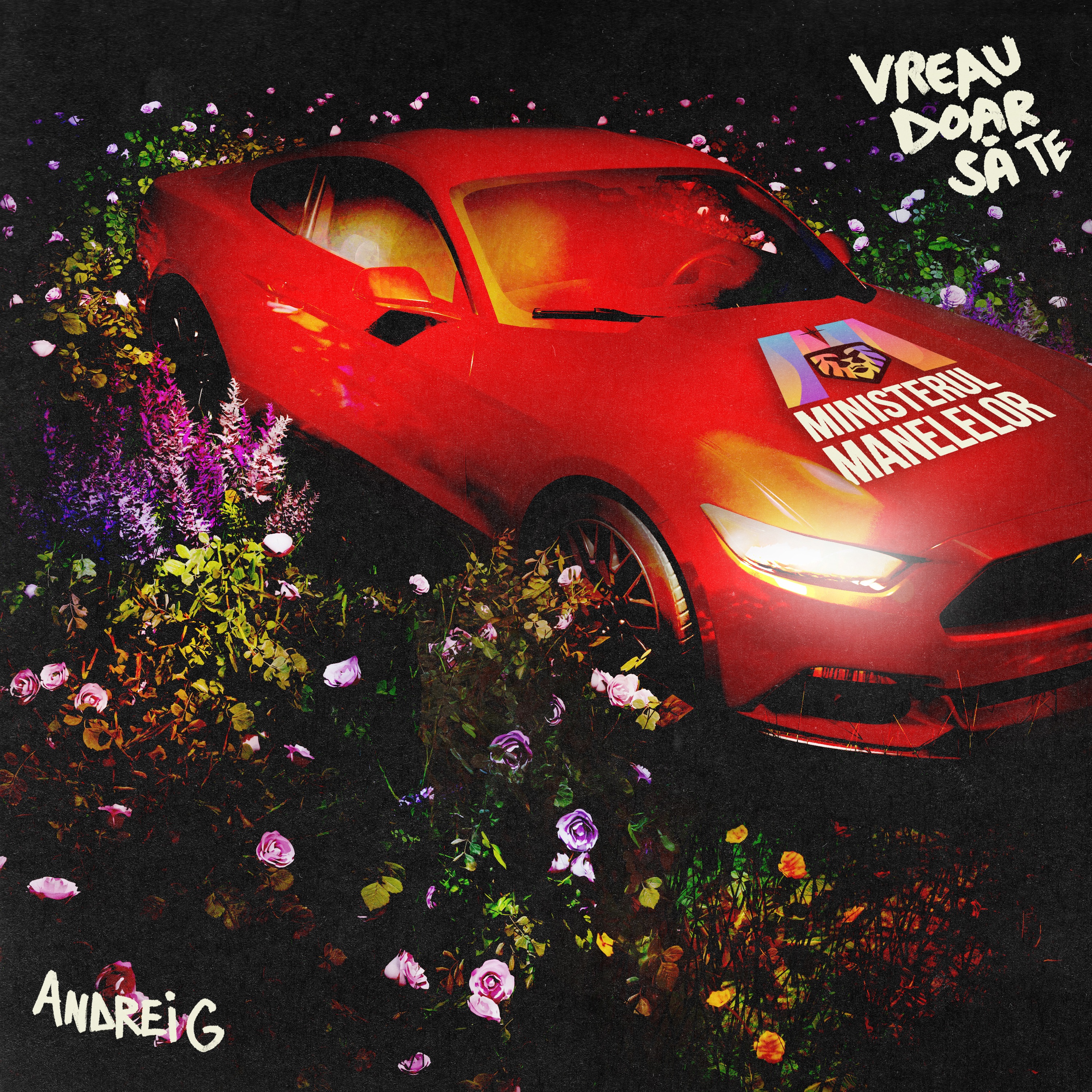 Vreau doar să te - Single