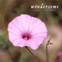 Wondersome - Single - Tommy Berre & Denis Turbide