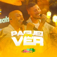 Paguei pra Ver (Luau do Wilsinho) [Ao Vivo] [feat. Yuri Bispo] - Single - Wilsinho Soares