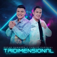 Tridimensional - Oscar Gamarra & Camilo Carvajal