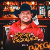 Brega na Vaqueja - Geninho Batalha