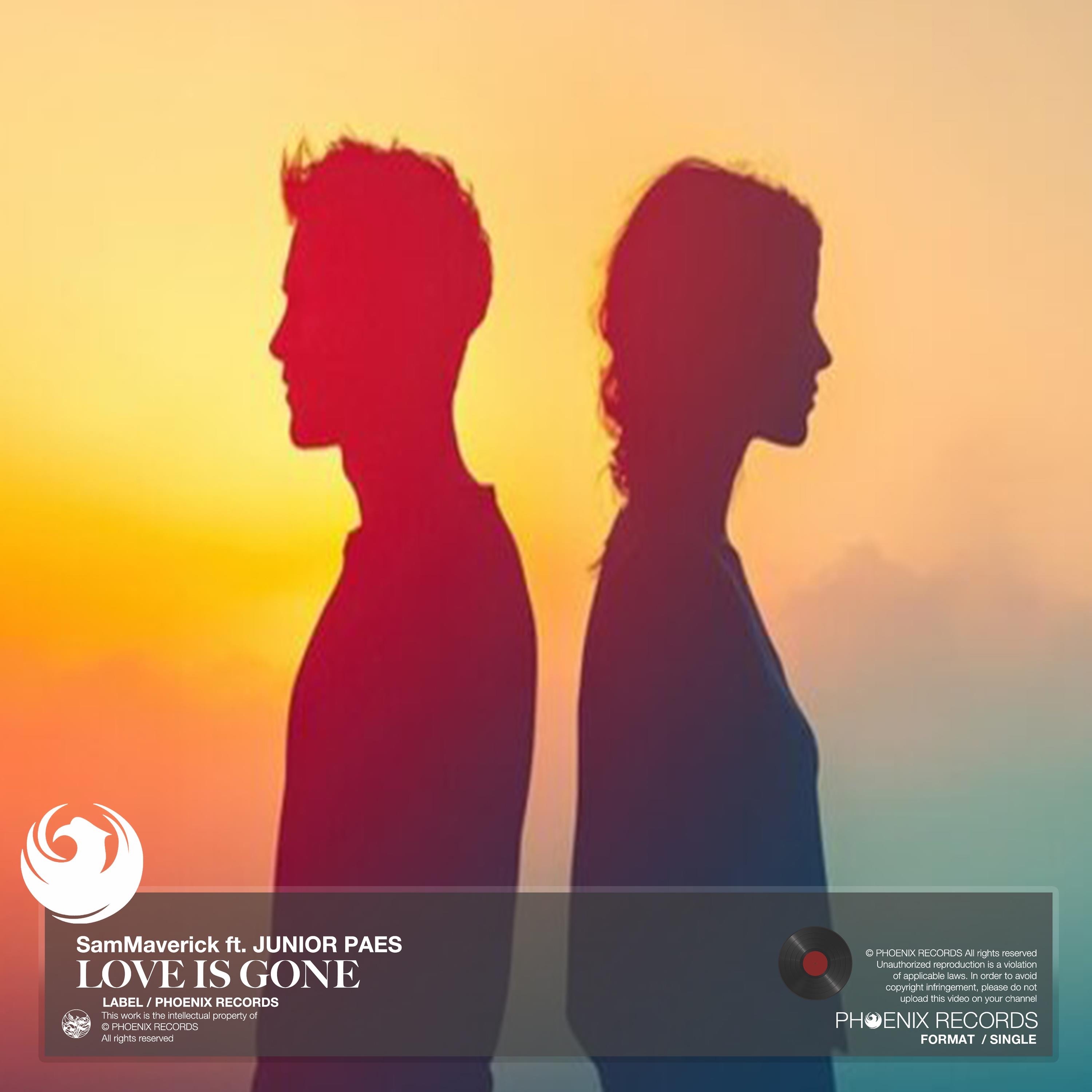 Love is Gone (feat. Junior Paes) - Single