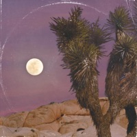 Moodlight Moonlight (feat. Akeishein) - Single - Addenium