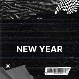 New Year NSF A2