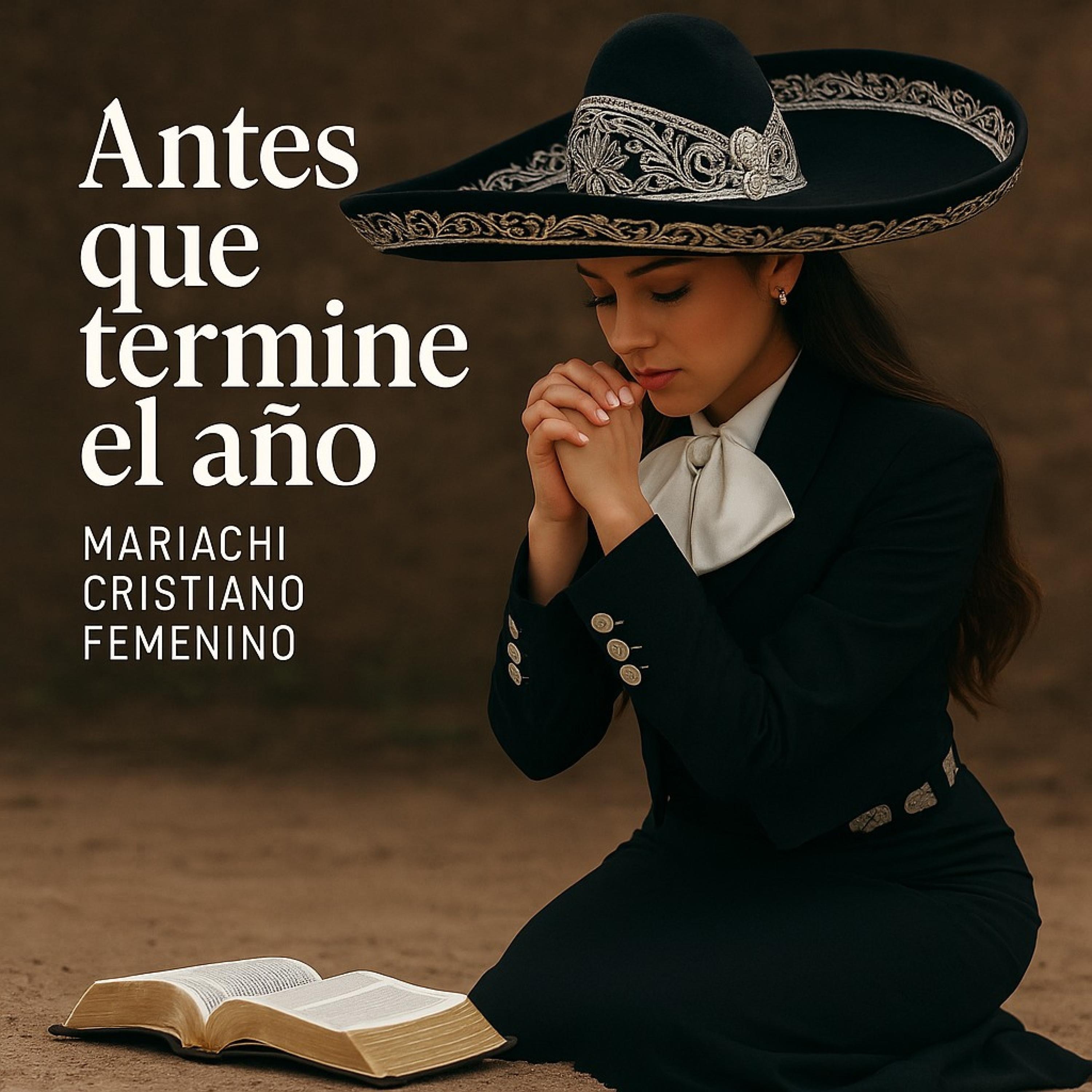 Antes que termine el año - Single
