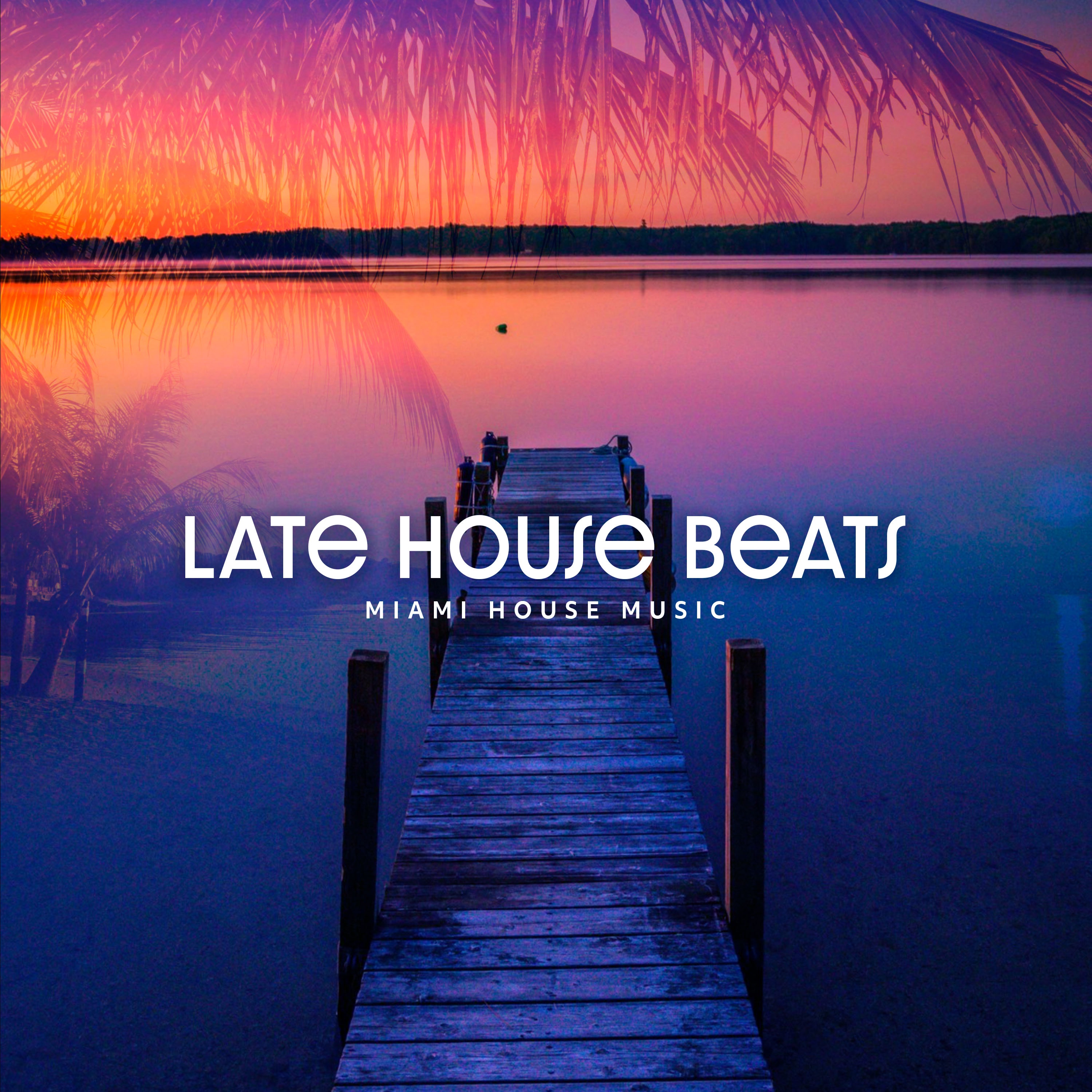 Late House Beats