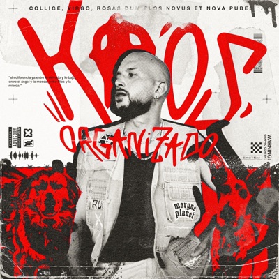 KAOS ORGANIZADO