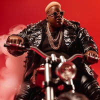 Zoomin (feat. She's Ryan) [Sped Up] - Single - amir.