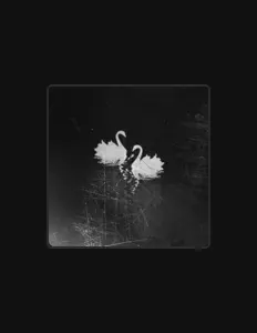 收听 Ornatu、观看音乐视频、阅读小传、查看巡演日期等 ！