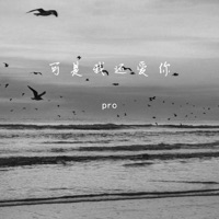 可是我还爱你 - Single - pro
