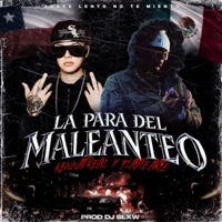 La Para del Maleanteo (feat. Kennat) - Single - Flayte Arte