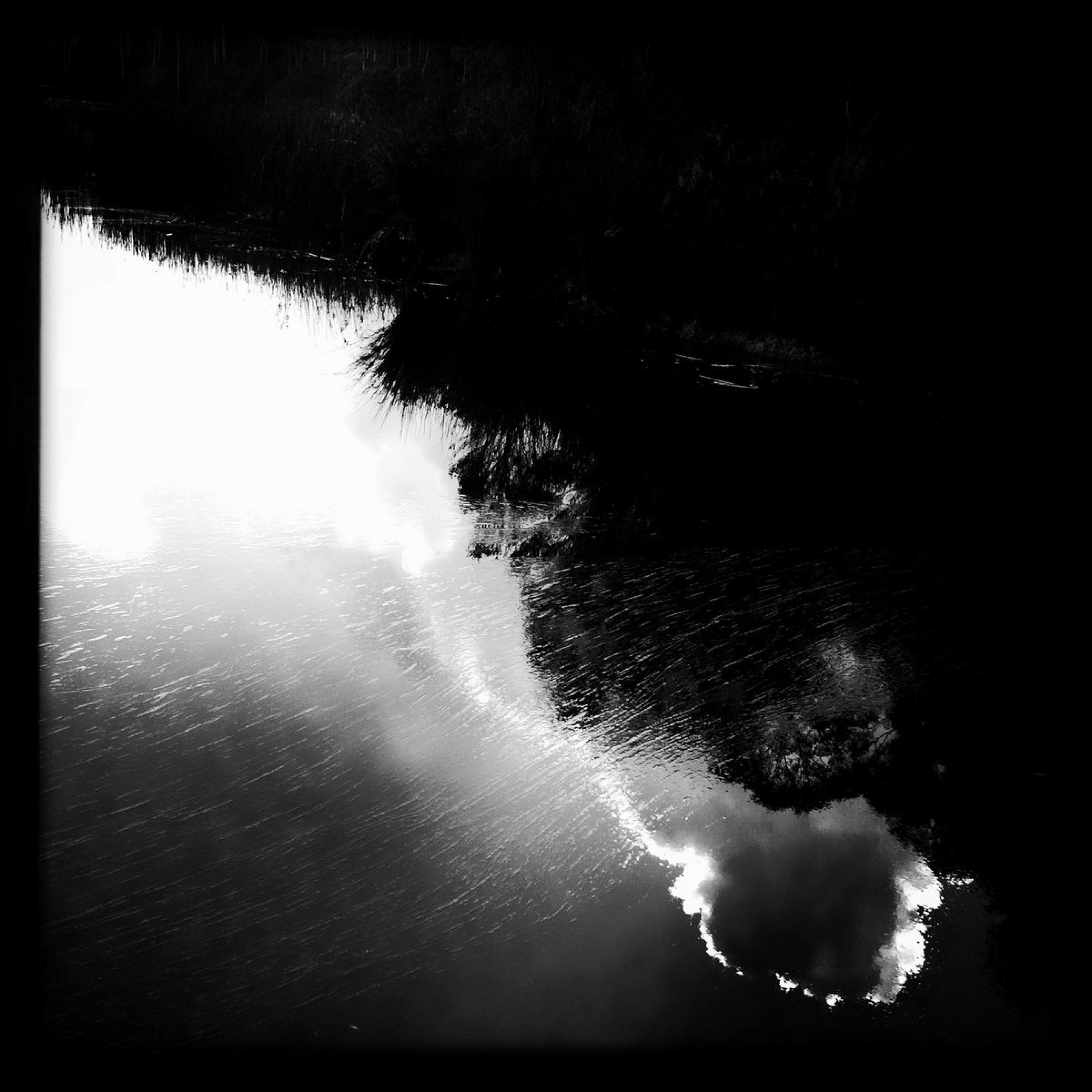 RSD - Prophecy
