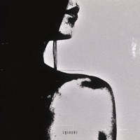 shadows - Single - shxpe