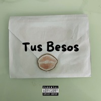 Tus Besos - Single - Ibiwis chk & (KaM.)