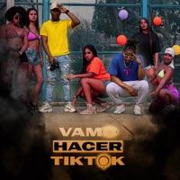 Vamo Hacer TikTok (feat. Kiki Boy) - Single - Tewhik Dj