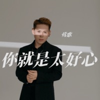 你就是太好心 - Single - 莺歌