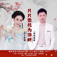 片片雪花为谁醉 - Single - 萍水相逢 & 望海高歌