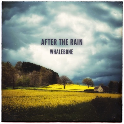 After the Rain - Single