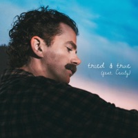 tried & true (feat. Cecily) - Single - Van Buren