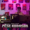 Stefanos Pitsiniagkas - Pese Koimisou