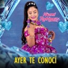 AYER TE CONOCÍ - Single