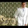 Sabri Fejzullahu - Moj E Mira E Diasporës