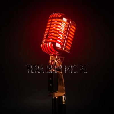 TERA BHAI MIC PE - EP