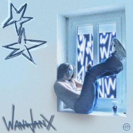 Matįnd'ivresse WANWANX