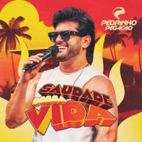 Saudade Dessa Vida - Single - Pedrinho Pegação