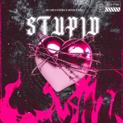 Stupid (feat. Sr Flow & Sebdres) - Single