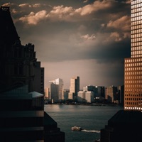 Miss You (feat. Cat) - Single - Sesto